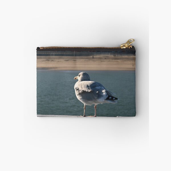 Aperçu de l'œuvre Mouette regardant la plage d'Ostende créée et vendue par SJB8Art.