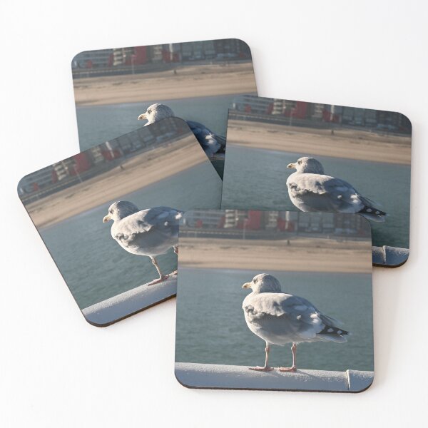 Item preview, Seagull looking at Ostend Beach designed and sold by SJB8Art.