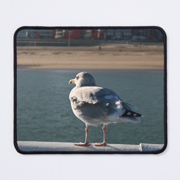 Item preview, Seagull looking at Ostend Beach designed and sold by SJB8Art.