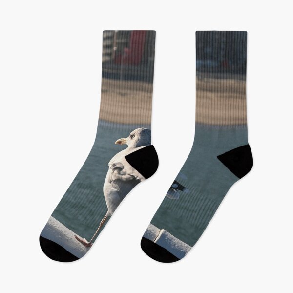 Item preview, Seagull looking at Ostend Beach designed and sold by SJB8Art.