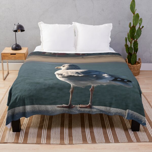 Item preview, Seagull looking at Ostend Beach designed and sold by SJB8Art.