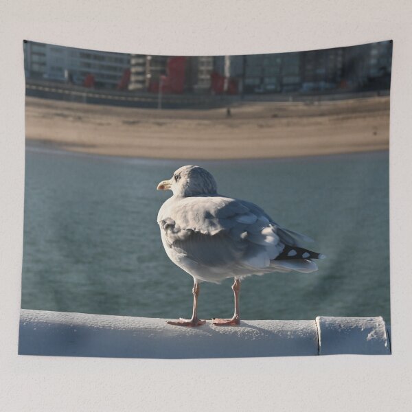 Item preview, Seagull looking at Ostend Beach designed and sold by SJB8Art.