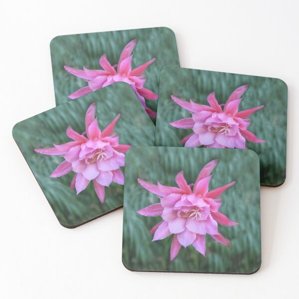Item preview, Cactus Flower designed and sold by heatherfriedman.