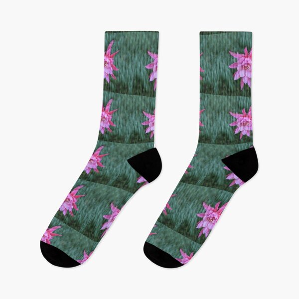 Item preview, Cactus Flower designed and sold by heatherfriedman.