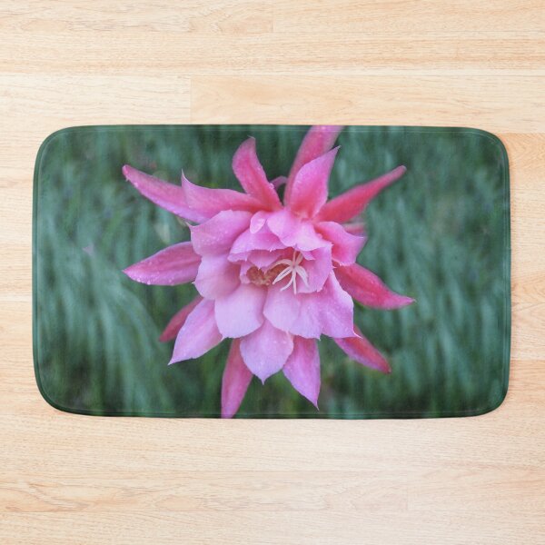 Item preview, Cactus Flower designed and sold by heatherfriedman.