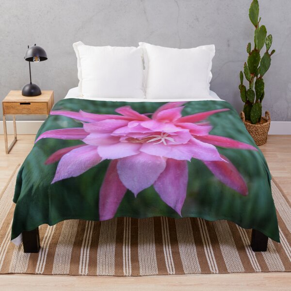 Item preview, Cactus Flower designed and sold by heatherfriedman.
