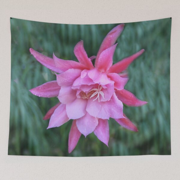 Item preview, Cactus Flower designed and sold by heatherfriedman.