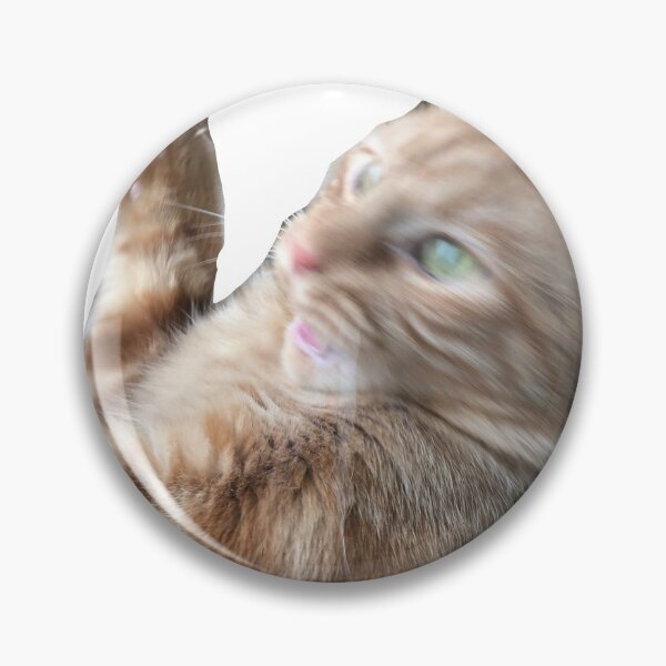 Item preview, Silly Cat designed and sold by Kr3ll3.