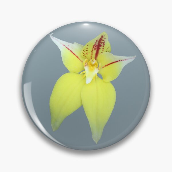 Item preview, Cowslip Orchid designed and sold by STHogan2.