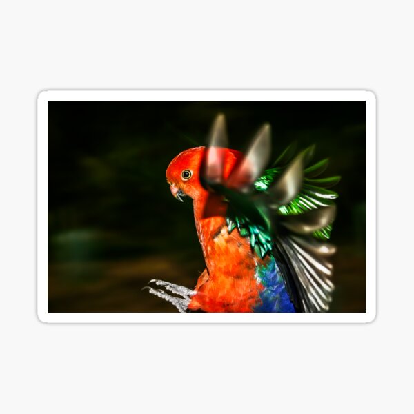 Flight of Colour Sticker