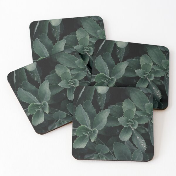 Item preview, Butterfly Stonecrop designed and sold by Crystal Vision Photo Art.