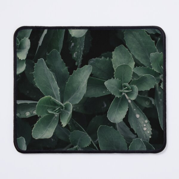 Item preview, Butterfly Stonecrop designed and sold by Crystal Vision Photo Art.