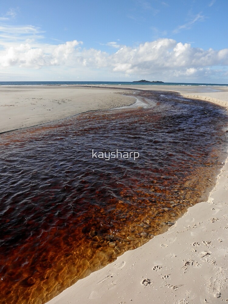 "Sister's Creek, Rocky Cape National Park, Tasmania, Australia." Poster by kaysharp Redbubble