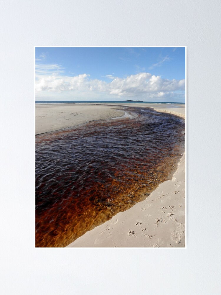 "Sister's Creek, Rocky Cape National Park, Tasmania, Australia." Poster by kaysharp Redbubble