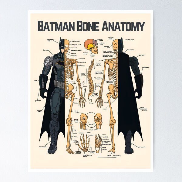 Item preview, Batman Bone Anatomy: Educational Science Poster For K12 designed and sold by hangrygangy.