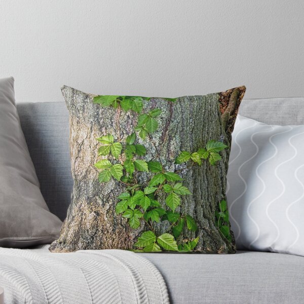 Item preview, You Can Look But You Better Not Touch designed and sold by Lanis Rossi.