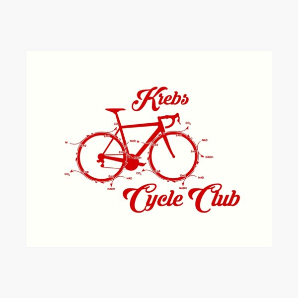 Krebs Cycle Bike Club Art Print