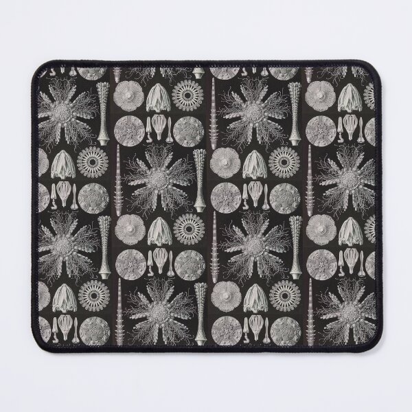 Item preview, Vintage Marine Life Print Haeckel Echinoderms designed and sold by Public-Works.