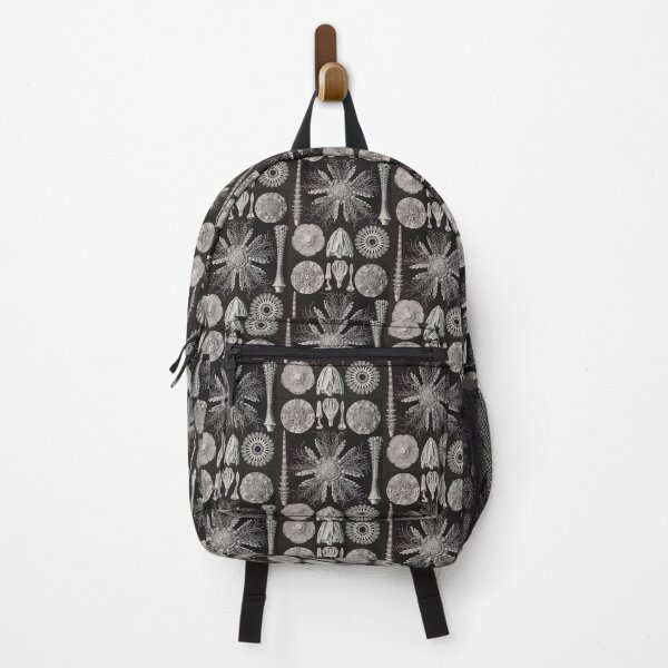 Item preview, Vintage Marine Life Print Haeckel Echinoderms designed and sold by Public-Works.