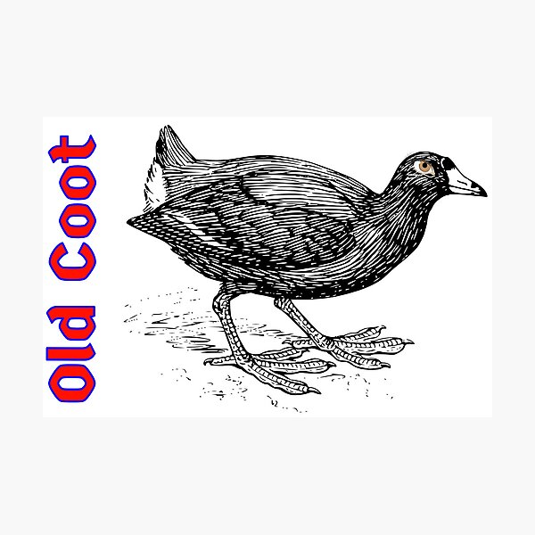 Item preview, Old Coot designed and sold by JenGo Creative.