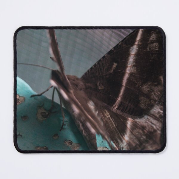 Item preview, Tropical Swallowtail Moth designed and sold by ROSE ANN BANILAR.