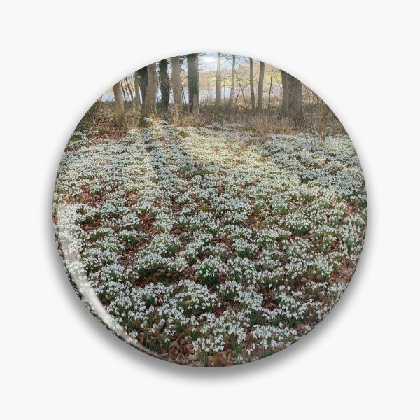 Item preview, Snowdrops at Deene Park, Brudenell Estate, Northamptonshire, UK designed and sold by Kate Anderson Art.