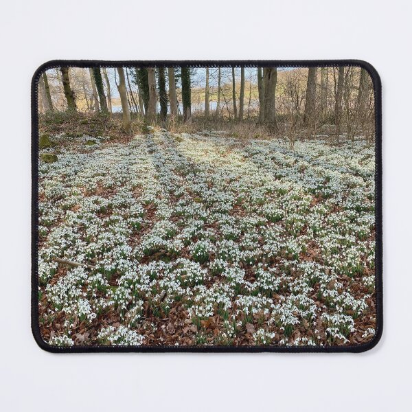 Item preview, Snowdrops at Deene Park, Brudenell Estate, Northamptonshire, UK designed and sold by Kate Anderson Art.