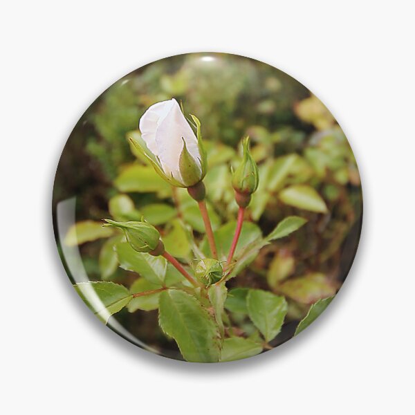 Item preview, Rose Bud designed and sold by Murph's Images.