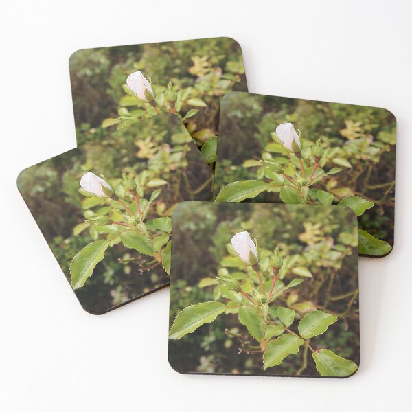 Item preview, Rose Bud designed and sold by Murph's Images.