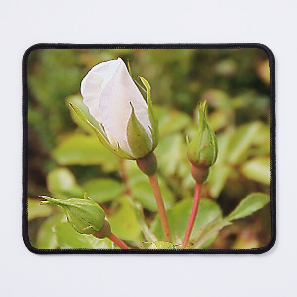 Item preview, Rose Bud designed and sold by Murph's Images.