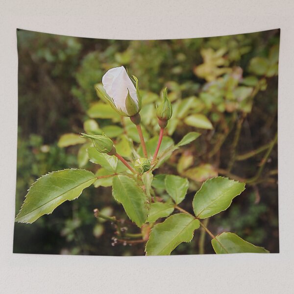 Item preview, Rose Bud designed and sold by Murph's Images.