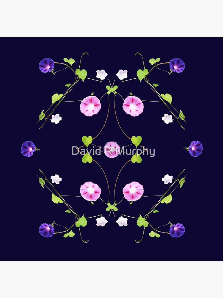 Morning Glory Artwork Design TOTE トートバッグ Morning Glory (on