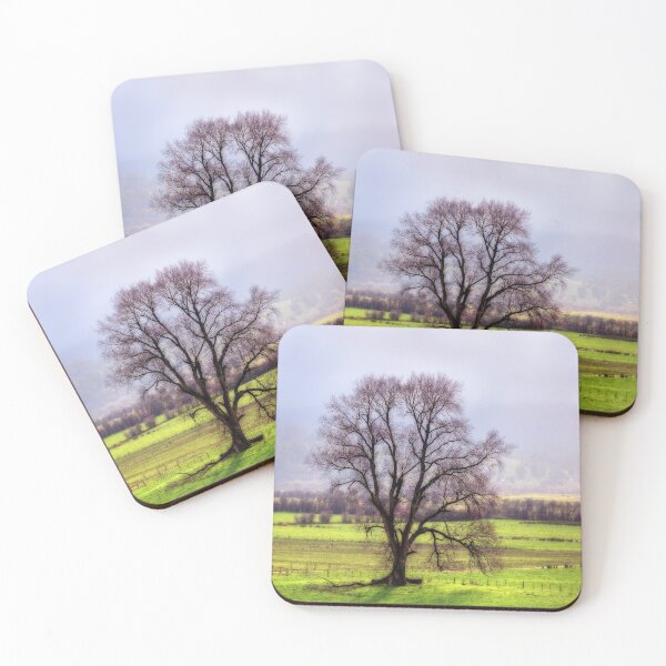 Item preview, Aerial, Drone, Landscape, Image of a Tree in Tasmania in Winter. designed and sold by Huskyyy Designs.