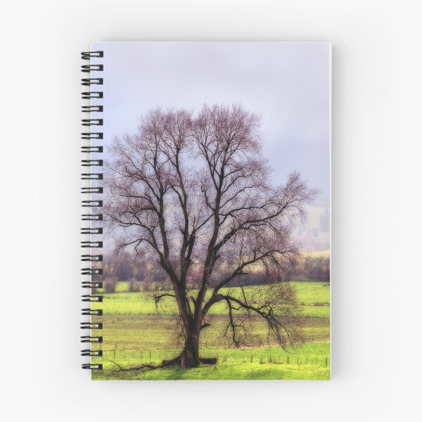 Item preview, Aerial, Drone, Landscape, Image of a Tree in Tasmania in Winter. designed and sold by Huskyyy Designs.