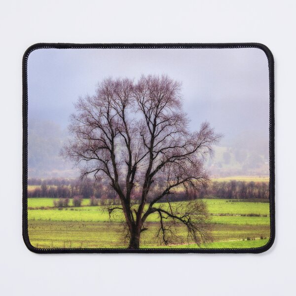 Item preview, Aerial, Drone, Landscape, Image of a Tree in Tasmania in Winter. designed and sold by Huskyyy Designs.