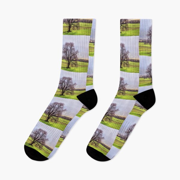 Item preview, Aerial, Drone, Landscape, Image of a Tree in Tasmania in Winter. designed and sold by Huskyyy Designs.