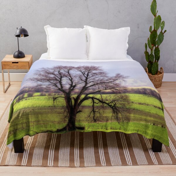Item preview, Aerial, Drone, Landscape, Image of a Tree in Tasmania in Winter. designed and sold by Huskyyy Designs.