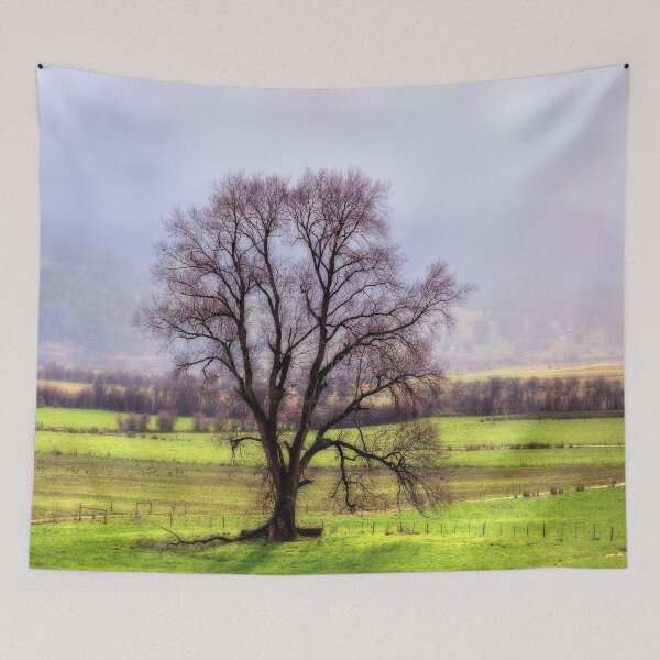 Item preview, Aerial, Drone, Landscape, Image of a Tree in Tasmania in Winter. designed and sold by Huskyyy Designs.