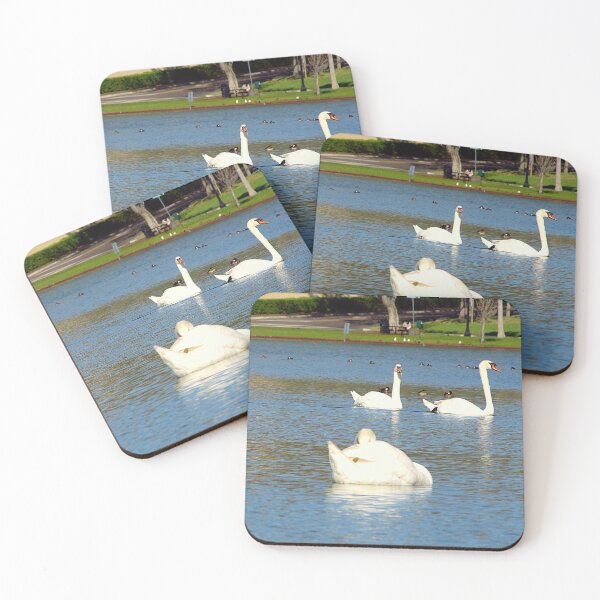 Item preview, Cisnes mudos del lago Morton designed and sold by MercerImages.
