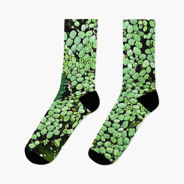 Item preview, Unique photo of leaves in a pond designed and sold by BeNaturally24.