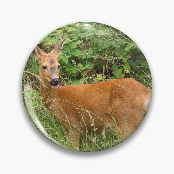 Item preview, Female deer designed and sold by Trine.