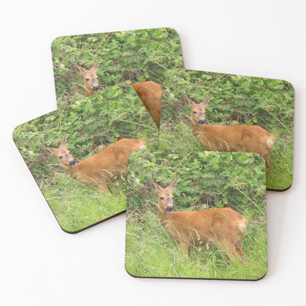 Item preview, Female deer designed and sold by Trine.