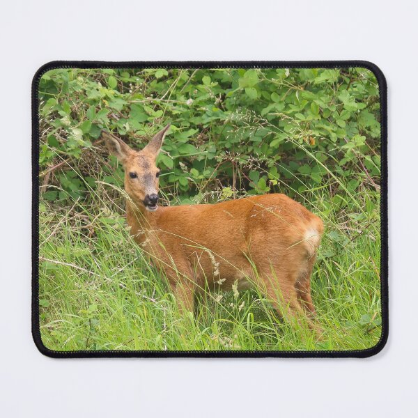 Item preview, Female deer designed and sold by Trine.