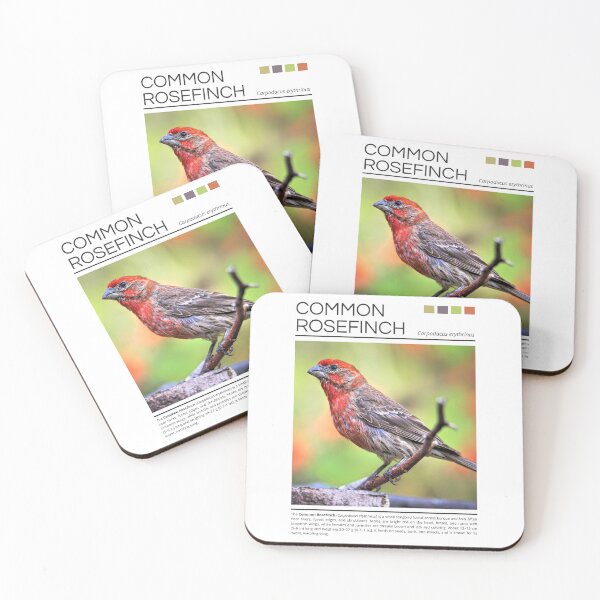 Item preview, Common Rosefinch designed and sold by StudioRedKoala.