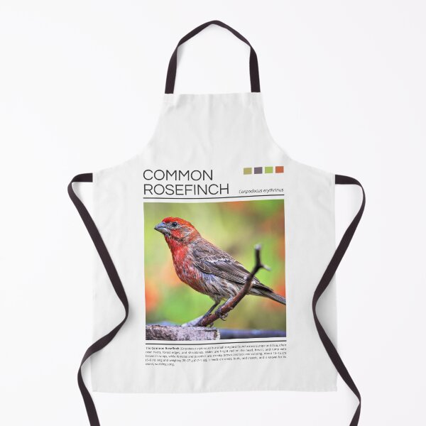 Item preview, Common Rosefinch designed and sold by StudioRedKoala.