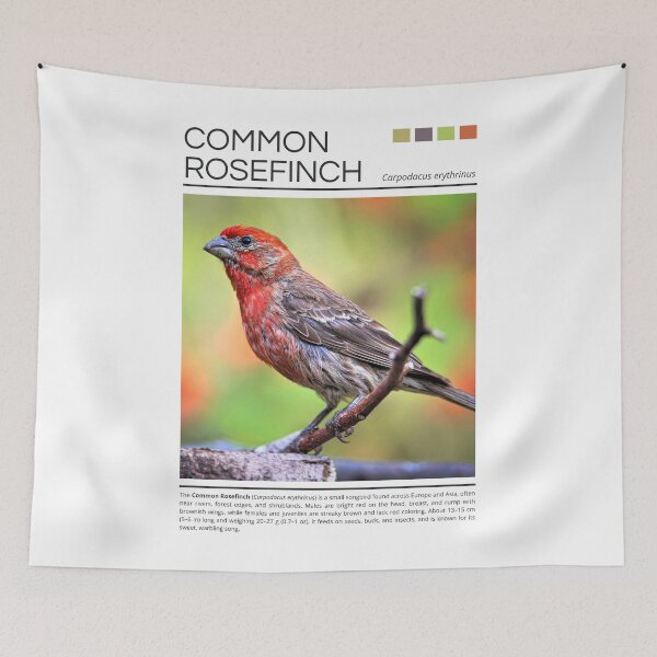 Item preview, Common Rosefinch designed and sold by StudioRedKoala.