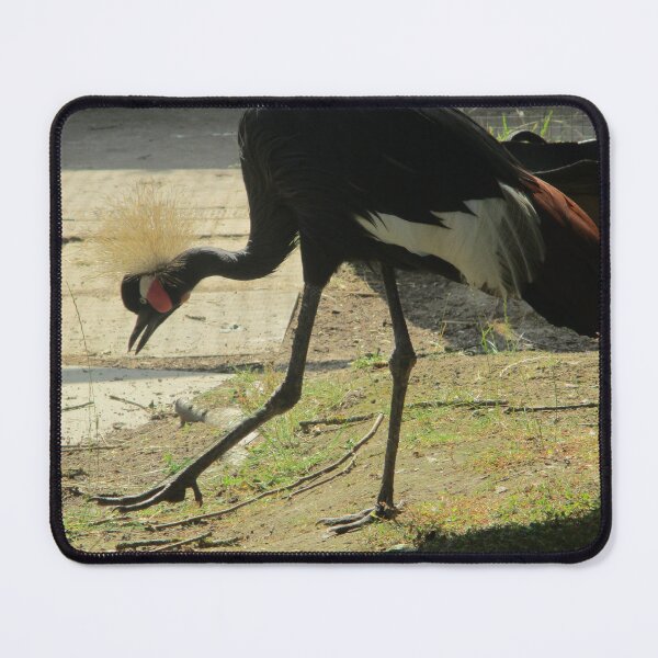 Item preview, Black Crowned Crane designed and sold by GooglyEyes-.