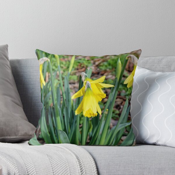 Item preview, Daffodils, designed and sold by Frank  Irwin.