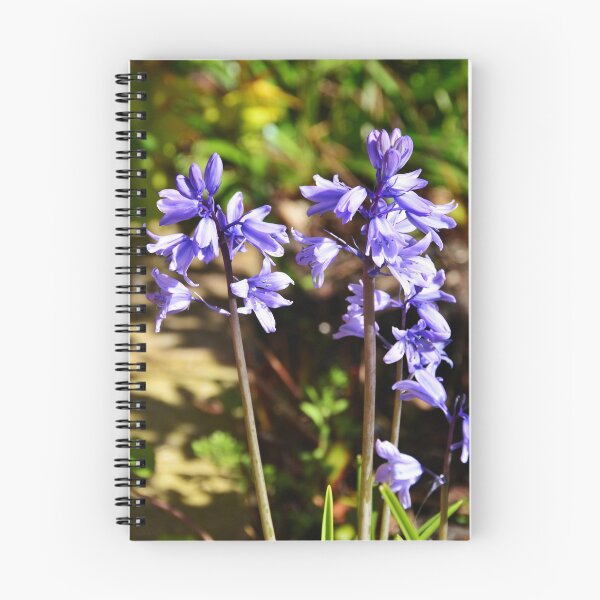 Item preview, Bluebells designed and sold by Frank Irwin.