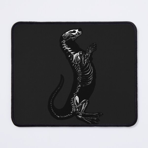 Item preview, otter anatomy designed and sold by MickeyEdwards.